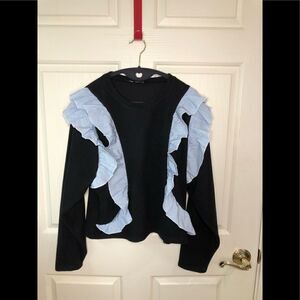 Zara sweatshirt 